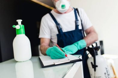 The Advantages of Hiring Expert Long Beach Pest Removal Services