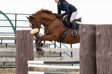 Choosing The Right Plastic Horse Jumps For Your Riding Needs